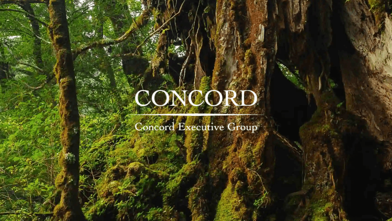 Mossy tree in forest with the text 'Concord Executive Group' overlay.